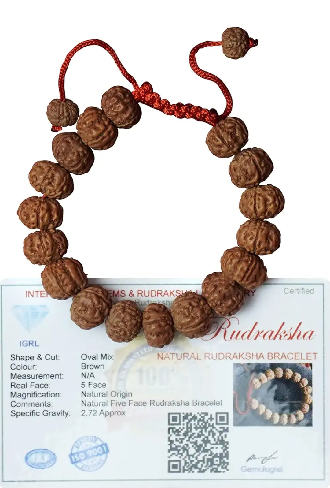 Original 5 Mukhi(Panchmukhi) Rudraksha Bracelet With Certificate | AAA Grade Unisex both for Men and Women