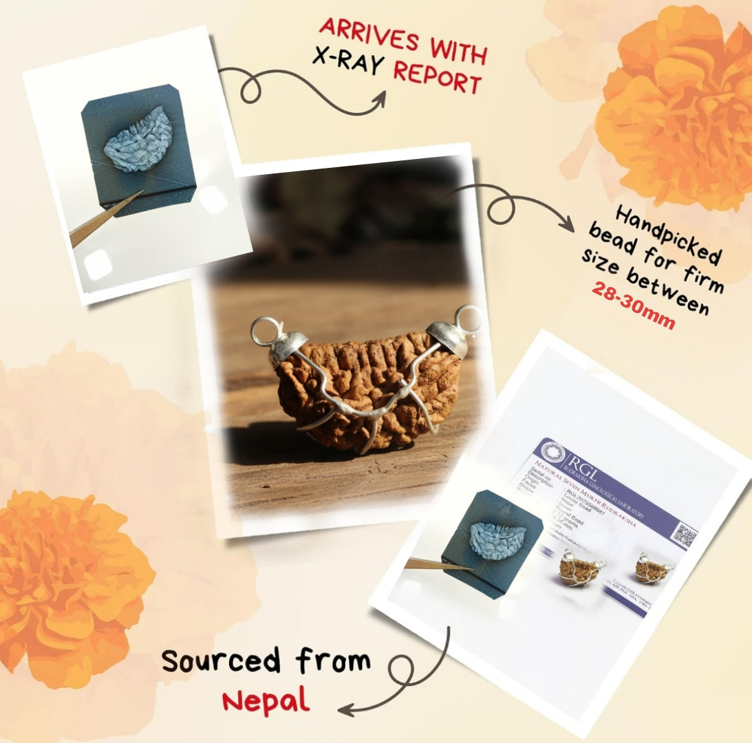 1 Mukhi Nepali Rudraksha (With Lab Test Certificate & X-Ray) – Trinetraksha