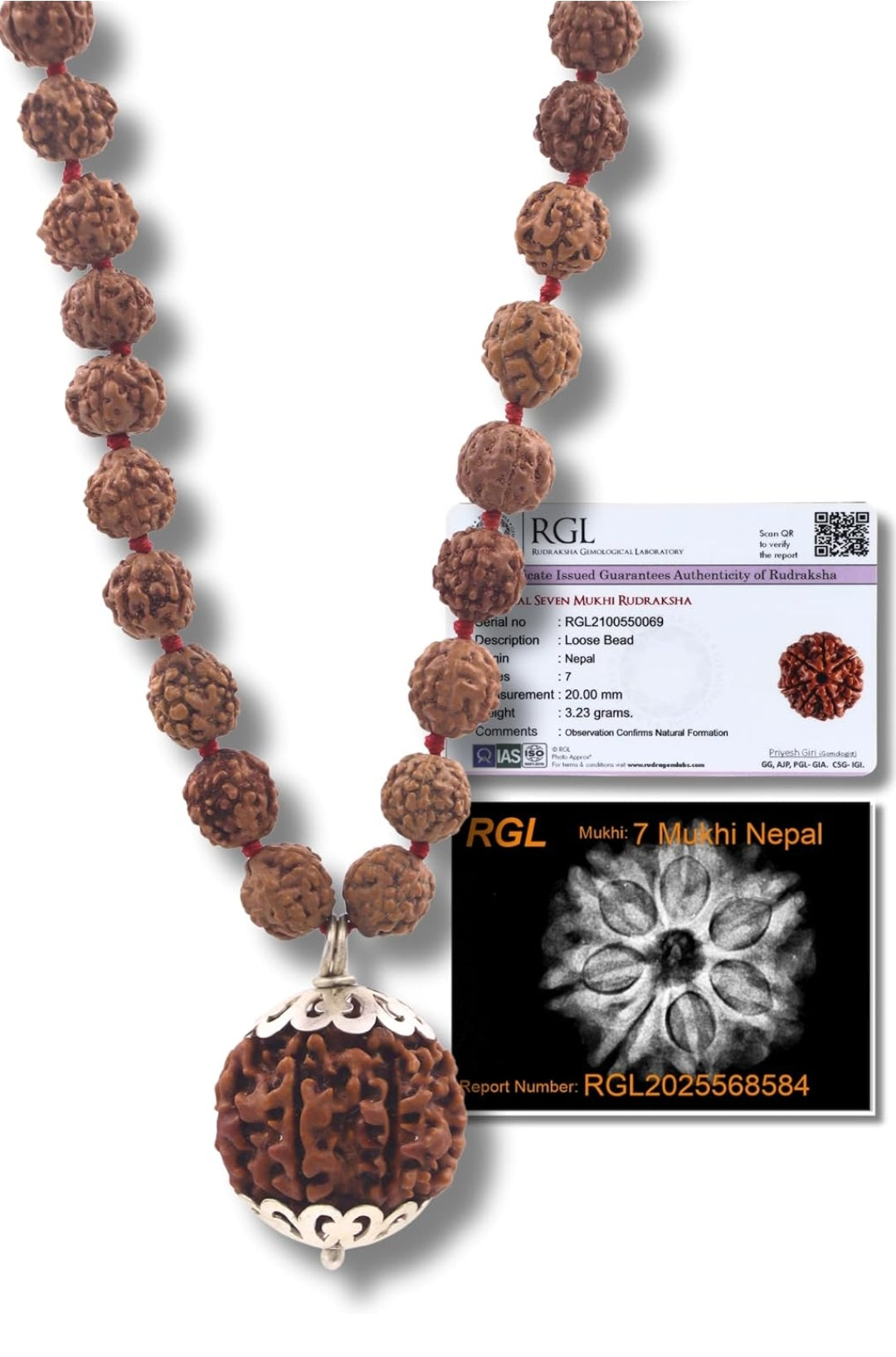 7 Mukhi Rudraksha Pendant (Nepal Origin) with 108 Beads Brown Rudraksha Mala | Certified | X-Ray Verified | Pure Silver Capped | Daily Spiritual Wear
