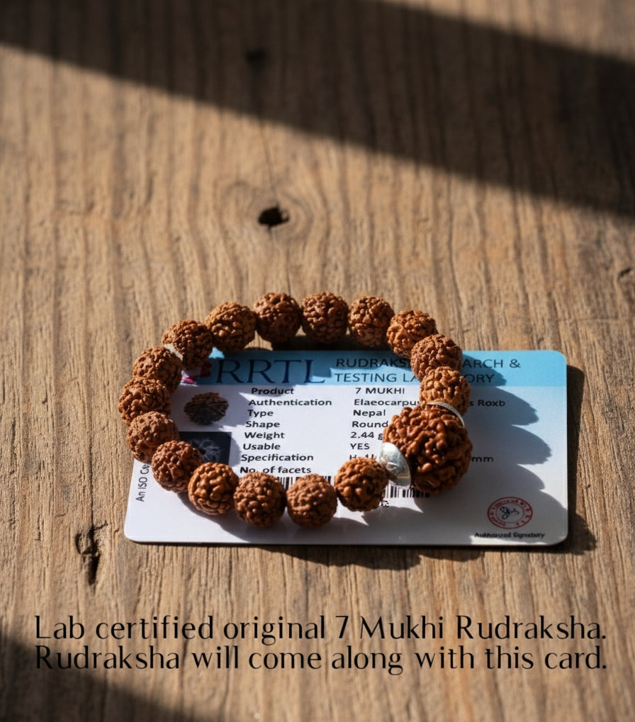 7 Mukhi Rudraksha Bracelet for Men and Women | Lakshmi Bracelet | Original Lab Certified Nepal Rudraksha With Lap Test certificate & X-ray