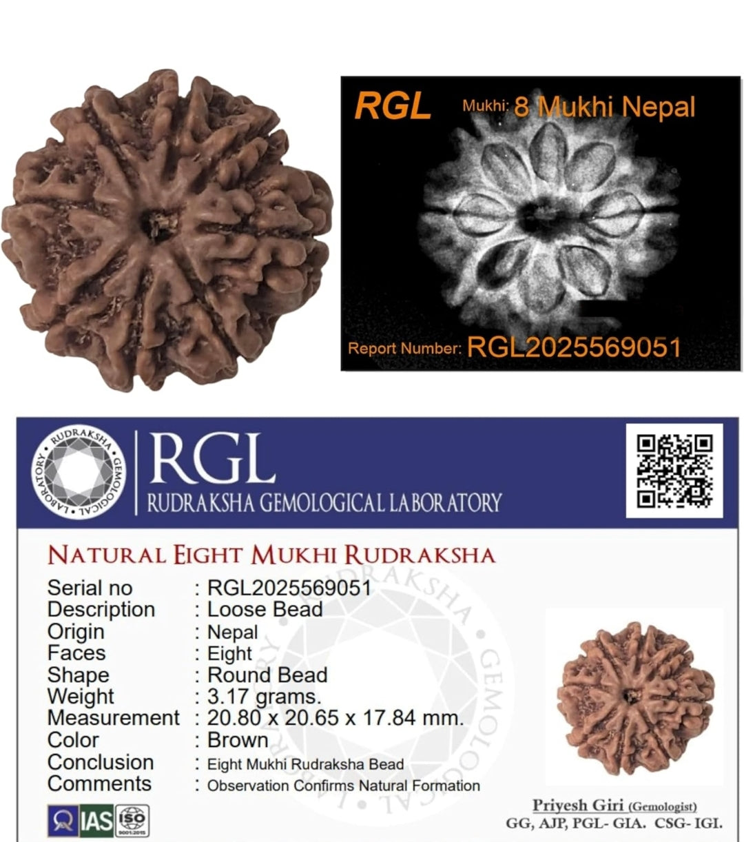 Authentic 8 Mukhi Nepali Rudraksha – Trinetraksha | LAP Test & X-Ray Certified