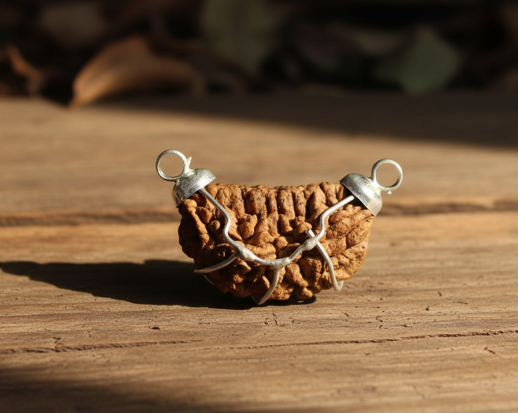 1 Mukhi Nepali Rudraksha (With Lab Test Certificate & X-Ray) – Trinetraksha