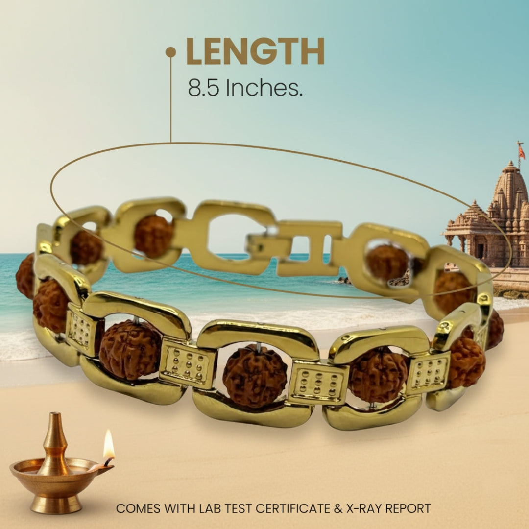 Trinetraksha Unisex Gold Plated Essential Rudraksha Bracelet 8.5 Inches Length With Lap Test certificate and X-ray