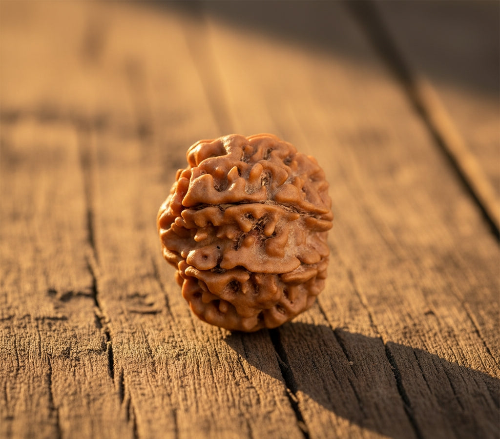Authentic 8 Mukhi Nepali Rudraksha – Trinetraksha | LAP Test & X-Ray Certified