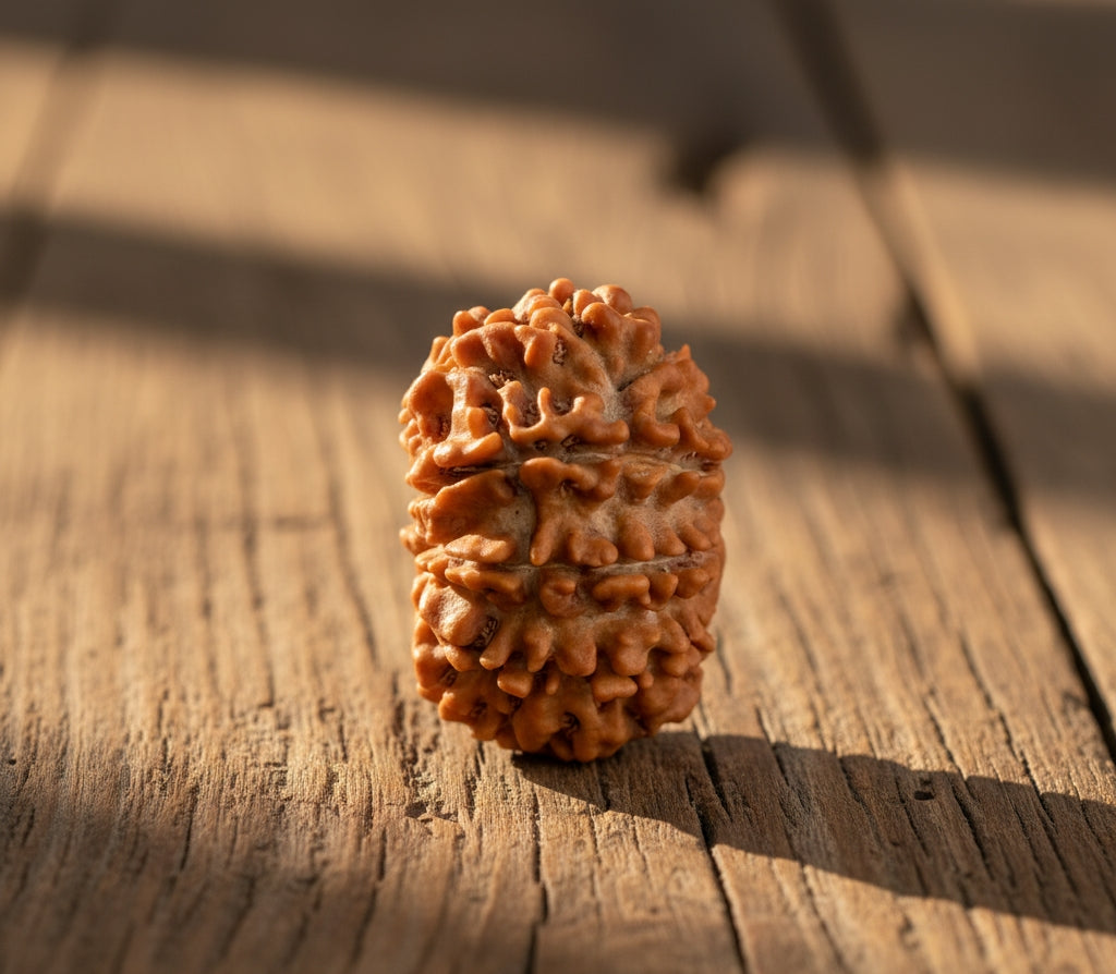 11 Mukhi Nepali Rudraksha – With Lab Test Certificate & X-Ray Report