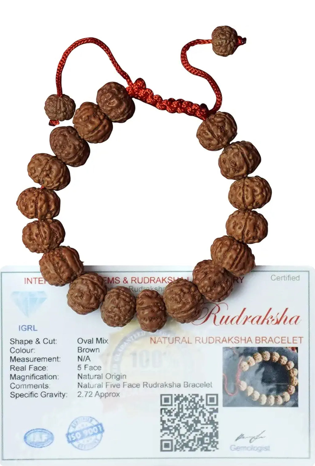 Original 5 Mukhi(Panchmukhi) Rudraksha Bracelet With Certificate | AAA Grade Unisex both for Men and Women